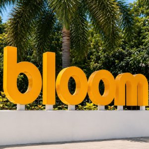 Bloomroom - Converge Hotels Projects
